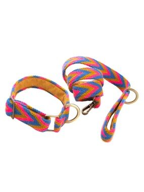 Multicolor Chevron Woven Dog Collar and Leash Set